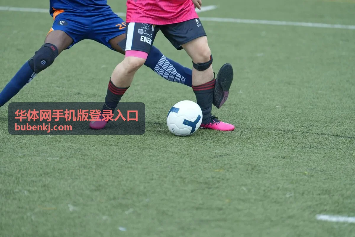 华体网手机版登录入口扫码进入手机端页面示意