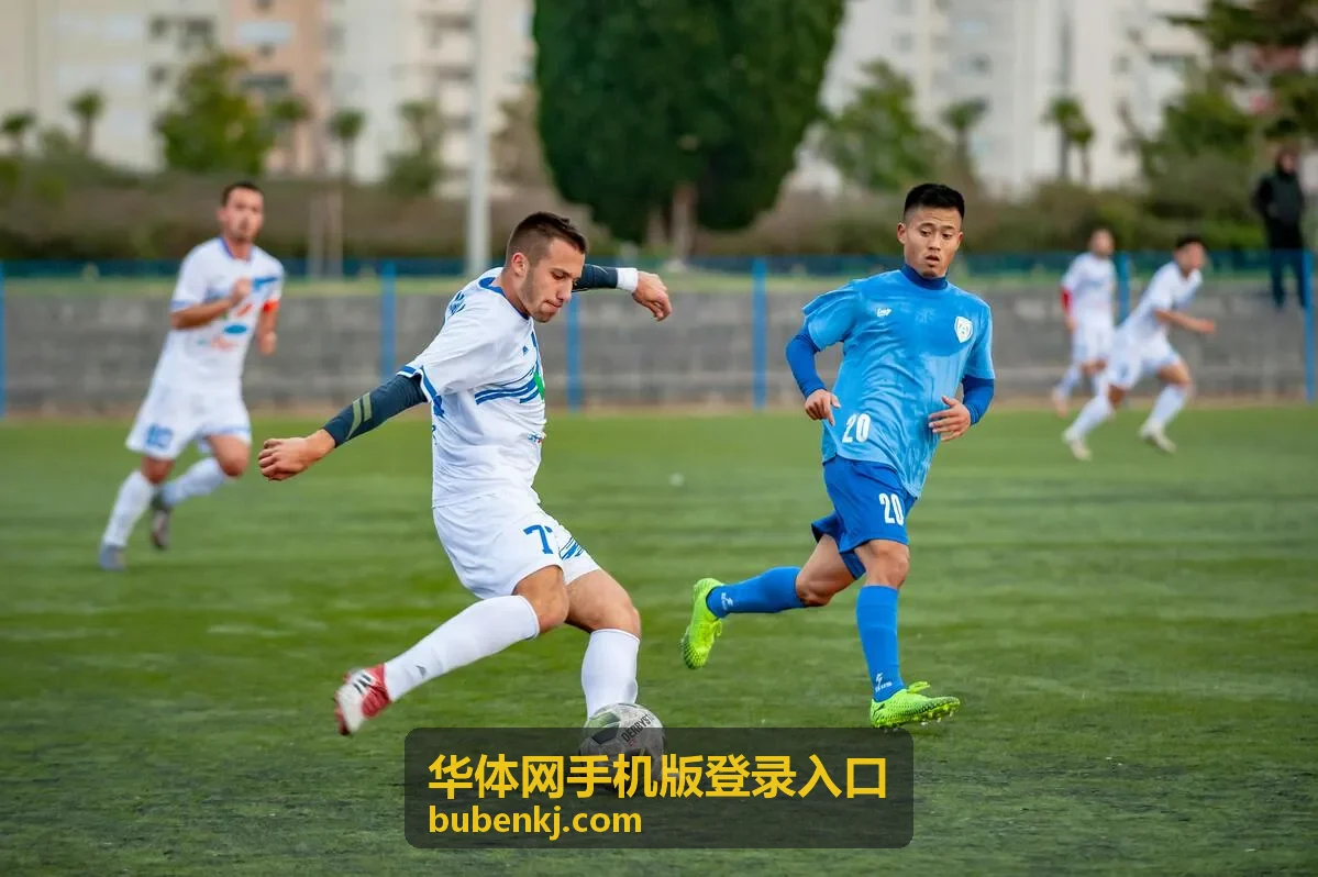 华体网手机版登录入口在手机浏览器中的页面显示示意